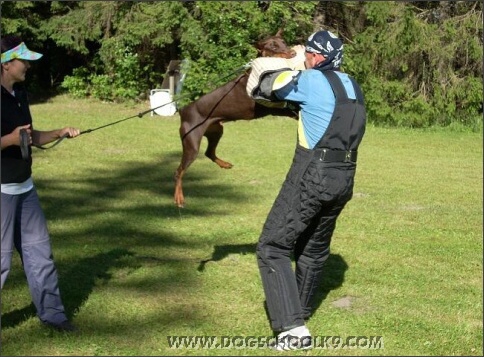 Summer training camp in Estonia 2007